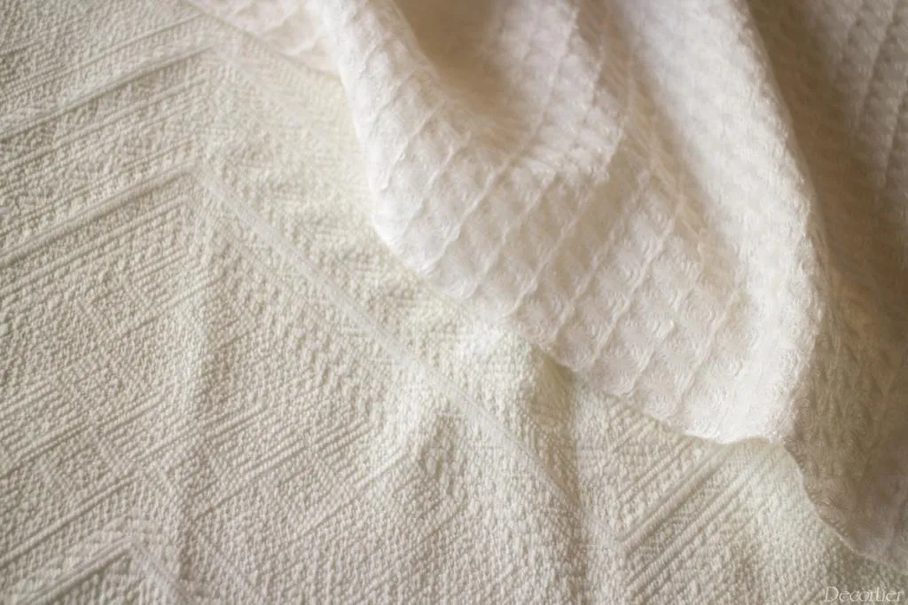 _MG_1109.jpg _MG_1109.jpg