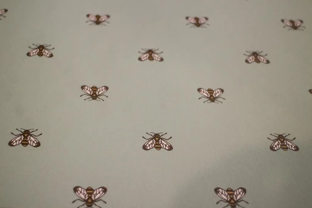 _MG_1884-6.jpg _MG_1884-6.jpg