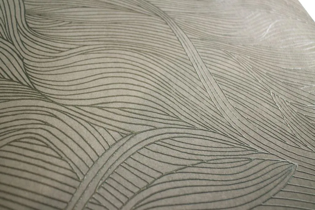 _MG_1881-3.jpg _MG_1881-3.jpg