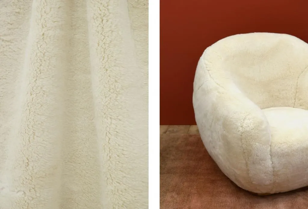 Himalaya 2020-02-17_165852.jpg