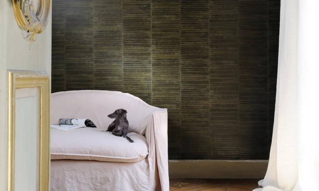 Anguille Big croco Legend_02.jpg Anguille Big croco Legend_02.jpg