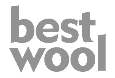 Best Wool Carpets