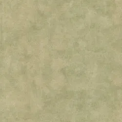 Обои для стен Fresco wallcoverings Mirage Traditions 987-56532 #2