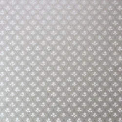 Обои для стен Nina Campbell Paradiso NCW4031-06