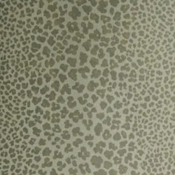 Обои для стен Nina Campbell Sylvana NCW4026-05