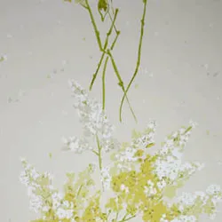 Обои для стен Nina Campbell Montacute NCW4067-03