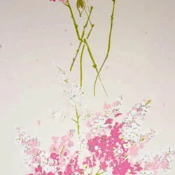 Обои для стен Nina Campbell Montacute NCW4067-01