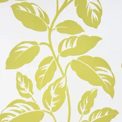 Обои для стен Nina Campbell Birdcage Walk NCW3772-02