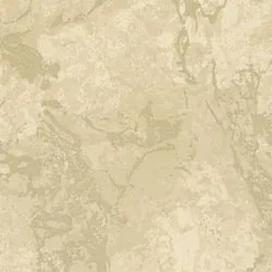 Обои для стен Osborne & Little Onyx CW6003-06