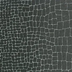 Обои для стен Osborne & Little Onyx CW6001-04