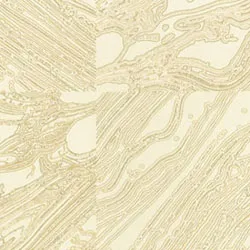 Обои для стен Osborne & Little Onyx CW6000-05