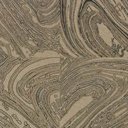 Обои для стен Osborne & Little Onyx CW6000-01