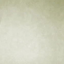 Обои для стен Osborne & Little Komodo W6303-04