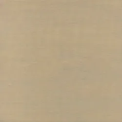 Обои для стен Elitis Mise en Scene RM60517