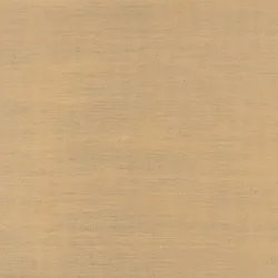 Обои для стен Elitis Mise en Scene RM60525