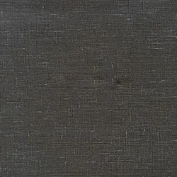 Обои для стен Elitis Mise en Scene RM61779