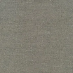 Обои для стен Elitis Mise en Scene RM61792