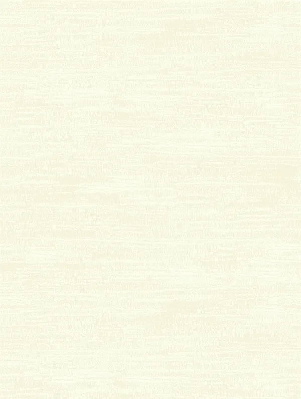 Обои для стен Collins & Company Envy bn51903