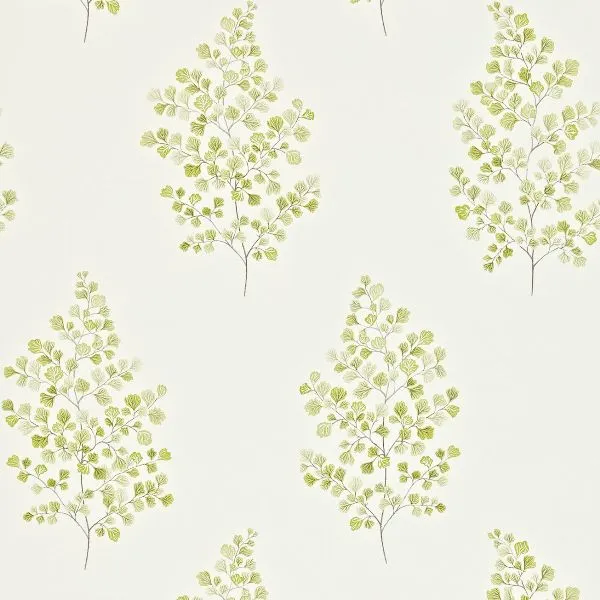 Обои для стен Sanderson Maycott 211998