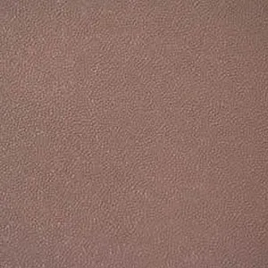 Обои для стен Newmor Maxim s6301