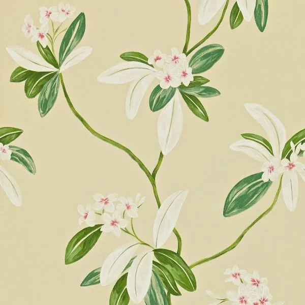 Обои для стен Sanderson Richmond hill 212130