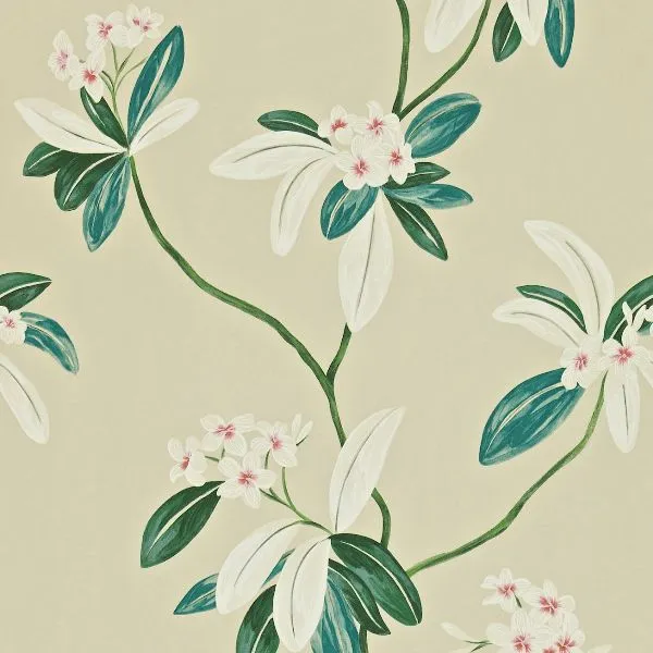 Обои для стен Sanderson Richmond hill 212131