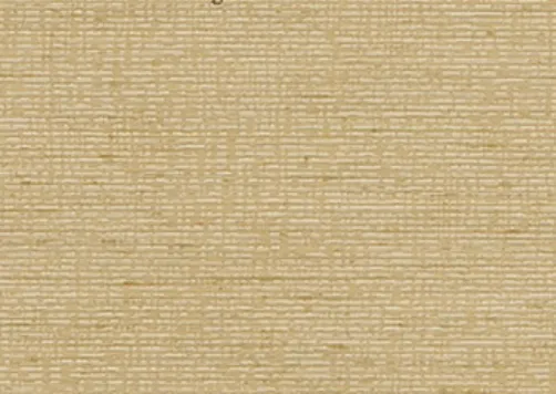 Обои для стен Calcutta Lounge 710012