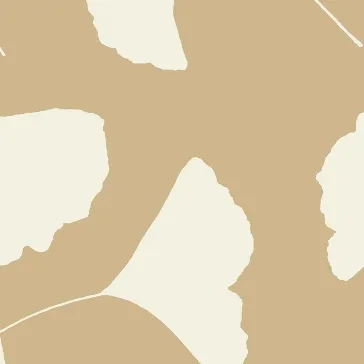 Обои для стен Antonina Vella Contempo GM1257