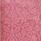 Обои для стен Morris & Co Volume IV DMORBR101