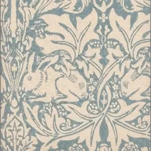 Обои для стен Morris & Co Volume IV DMORBR103