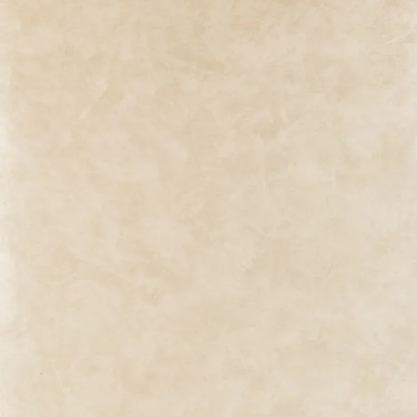 Обои для стен Clarke&Clarke Floribunda W0035-03