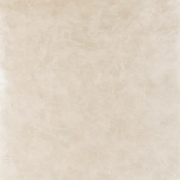 Обои для стен Clarke&Clarke Floribunda W0035-05