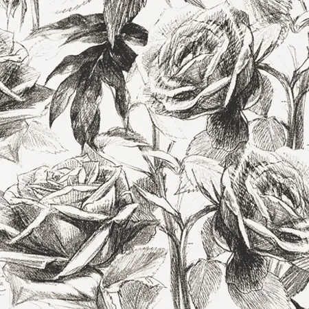 Обои для стен Clarke&Clarke Floribunda W0037-07