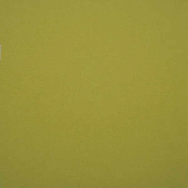 Обои для стен Clarke&Clarke Showstoppers W0006-13