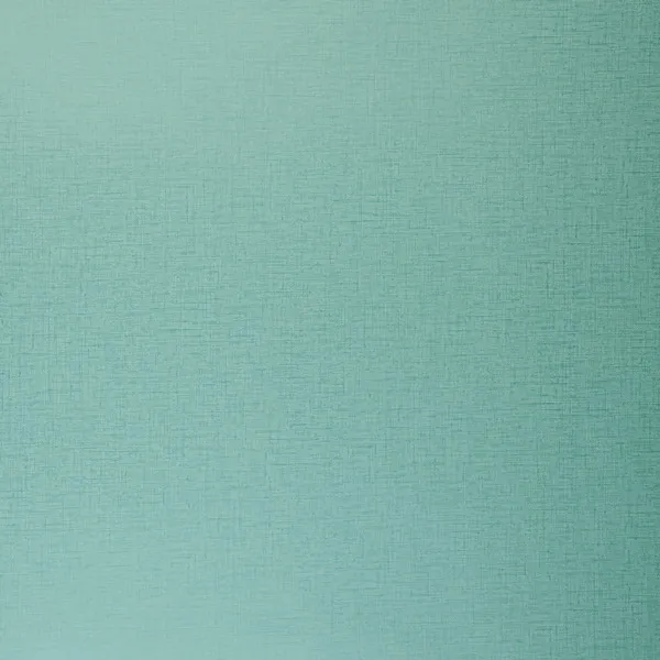 Обои для стен Clarke&Clarke Showstoppers W0006-17