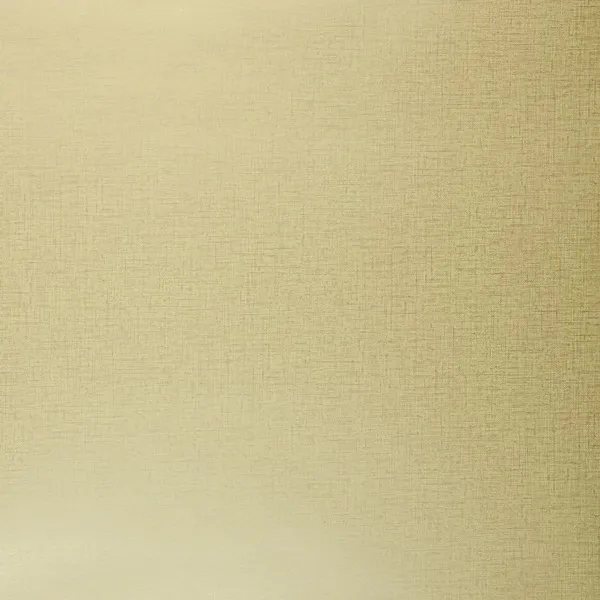 Обои для стен Clarke&Clarke Showstoppers W0006-21