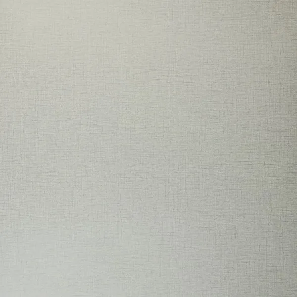 Обои для стен Clarke&Clarke Showstoppers W0006-29