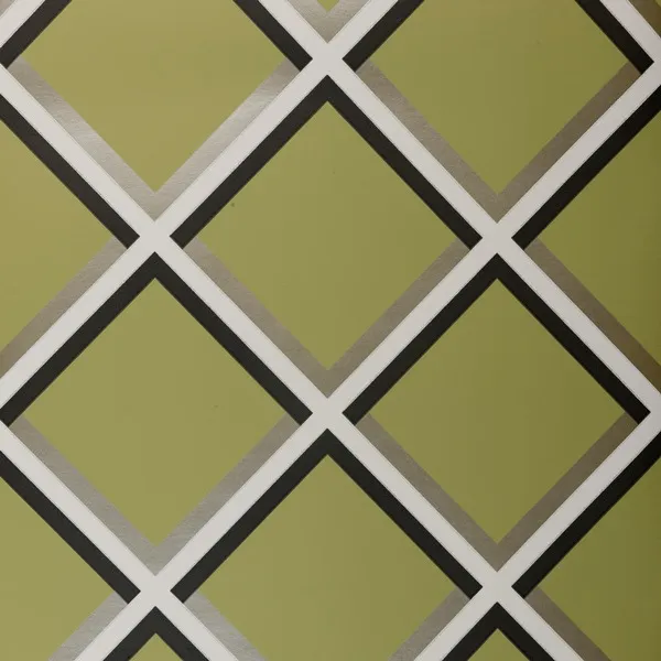 Обои для стен Clarke&Clarke Showstoppers W0018-01