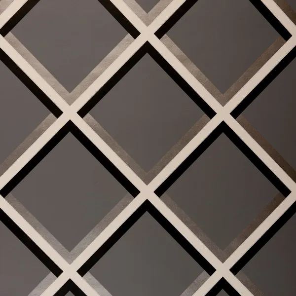 Обои для стен Clarke&Clarke Showstoppers W0018-07