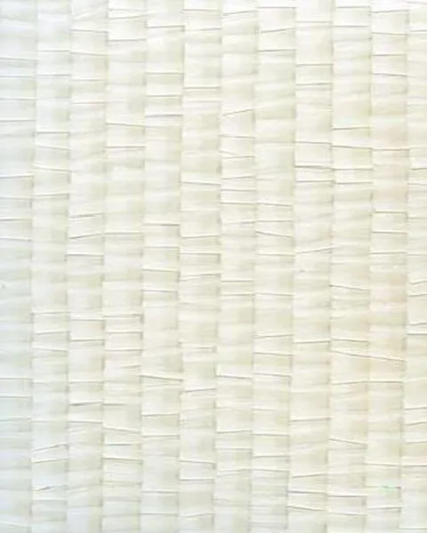 Обои для стен Zoffany Akita 310516