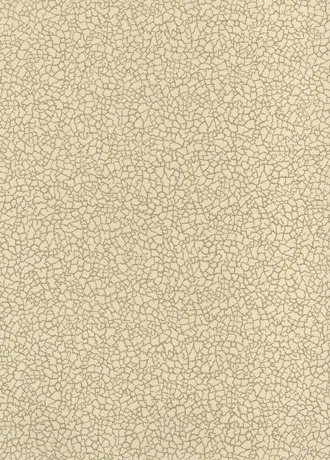 Обои для стен Baker Lifestyle Homes and Gardens II PW78017-04