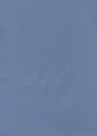 Обои для стен Baker Lifestyle Homes and Gardens II PW78017-06