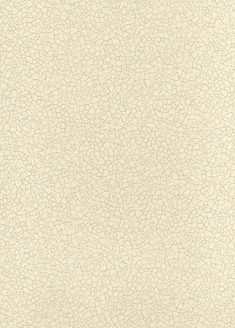 Обои для стен Baker Lifestyle Homes and Gardens II PW78017-07