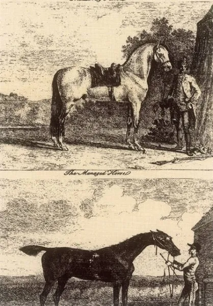 Обои для стен Lewis & Wood Book I. Sporting & Character LW95106