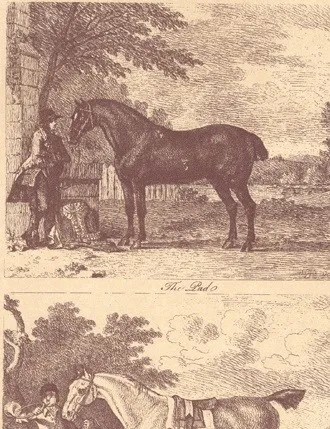 Обои для стен Lewis & Wood Book I. Sporting & Character LW95177