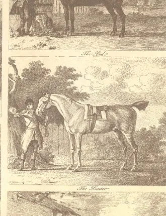 Обои для стен Lewis & Wood Book I. Sporting & Character LW9595