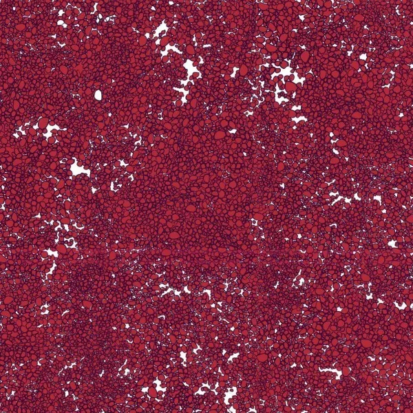 Обои для стен Tres Tintas Wall A Porter 2008