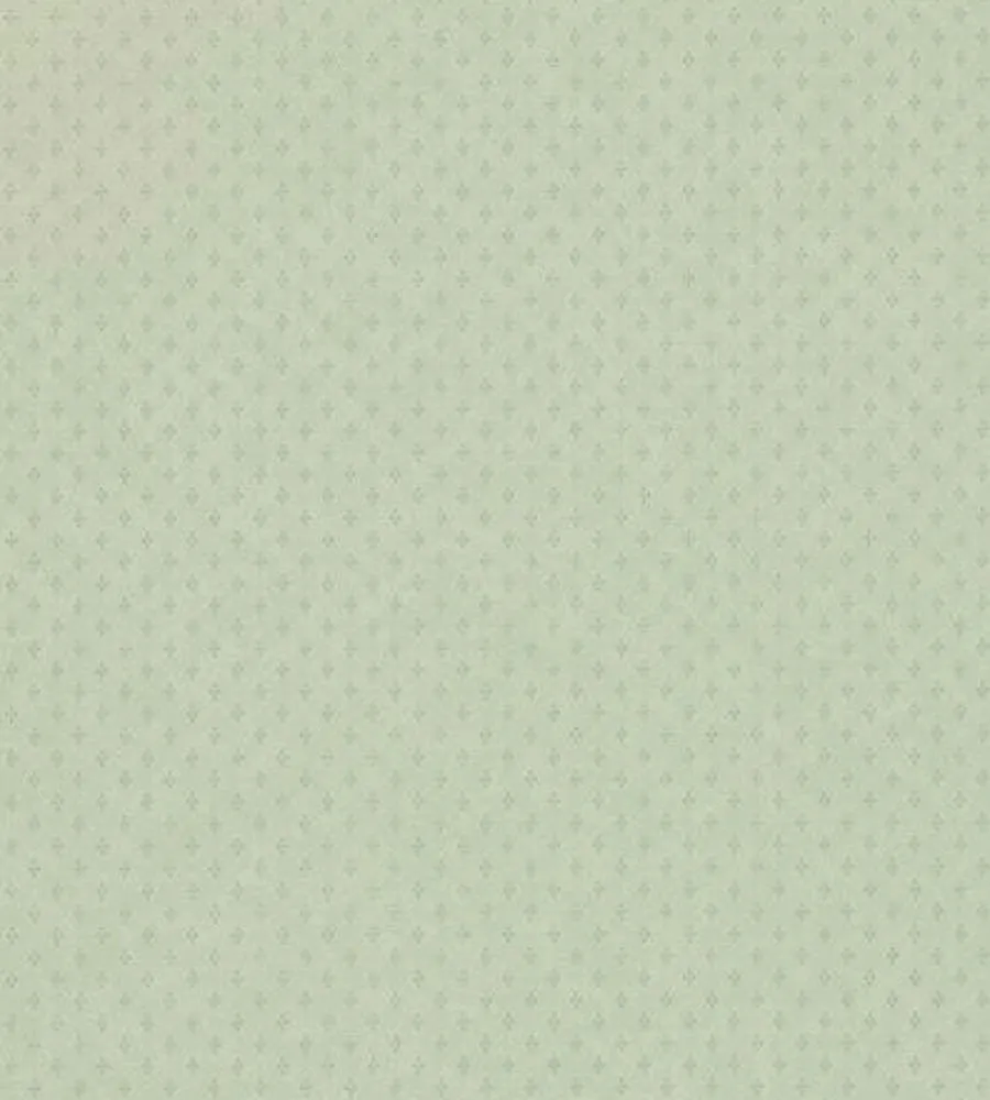 Обои для стен Zoffany Classic Damask CDW06005