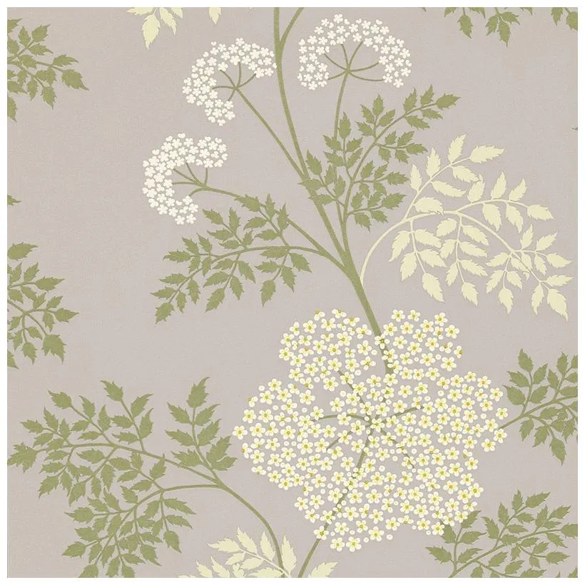 Обои для стен Sanderson Options10 DOPWCO103