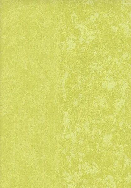 Обои для стен Designers Guild Amrapali P576-14